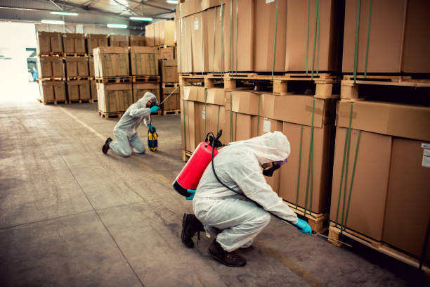 Best Bed Bug Extermination  in Hypoluxo, FL