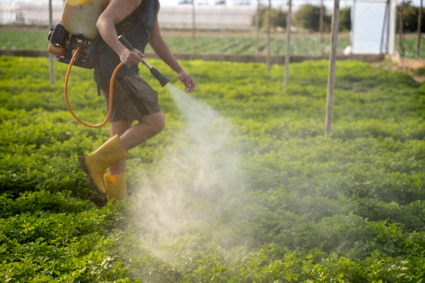 Trusted Hypoluxo, FL Pest Control Experts