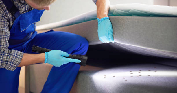 Best Pest Removal Services  in Hypoluxo, FL