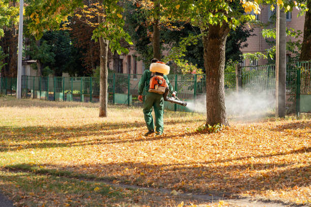 Best Mosquito Control Services  in Hypoluxo, FL