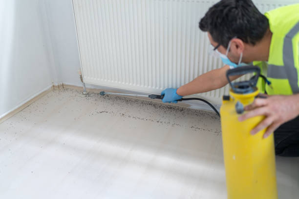 Best Best Pest Control Companies  in Hypoluxo, FL